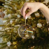 Left2d Backpack Golden Dark Side Of The Moon - OtherBrick