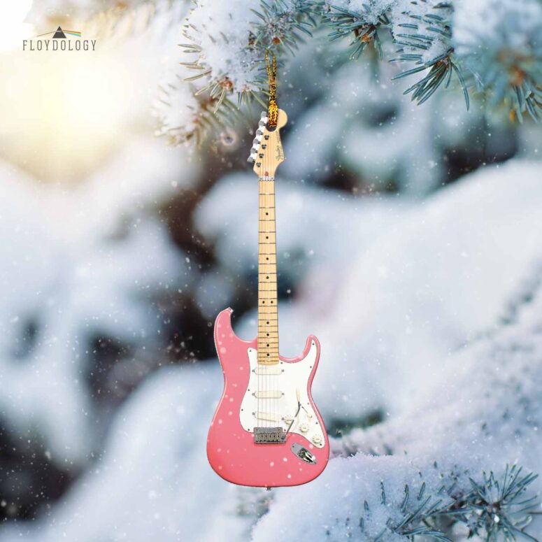 Pink Floyd Ornament - Fender Stratocaster Plus David Gilmour Electric Guitar