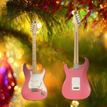 Pink Floyd Ornament - Fender Stratocaster Plus David Gilmour Electric Guitar