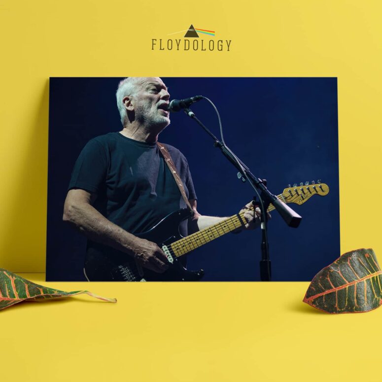 David Gilmour Live In Concert - Pink Floyd Poster David Gilmour Live In Concert - Pink Floyd Poster