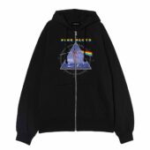Shine On You Crazy Diamond Dark Side Of The Moon Pink Floyd Front Ziphoodie Black - OtherBrick