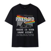 Where Is Your Dark Side Of The Moon 30th Anniversary Front Tshirt Black - OtherBrick