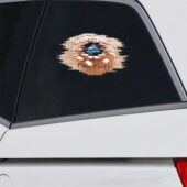 Car Decal2 3d Dsotm Break The Wall Car Sticker - OtherBrick