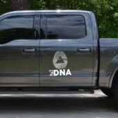 Car Decal4 Pink Floyd In My Dna Car Sticker - OtherBrick