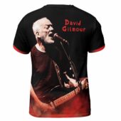 David Gilmour Pink Floyd Back - OtherBrick