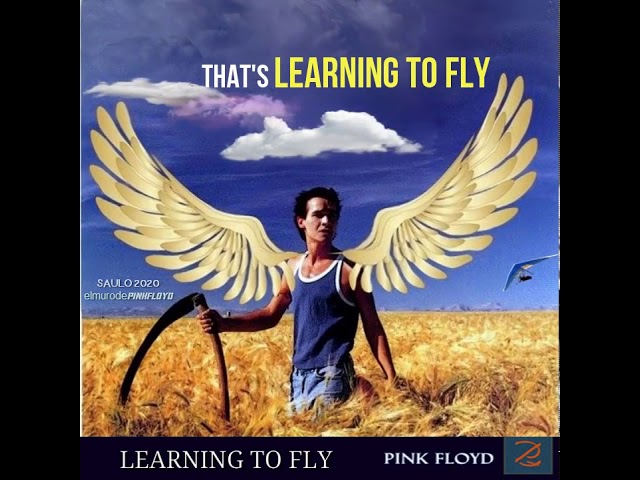Learning To Fly (pink Floyd Song) - OtherBrick