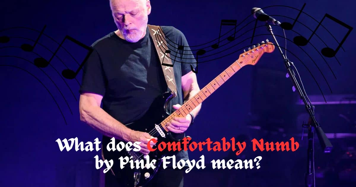What Does Comfortably Numb By Pink Floyd Mean