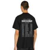 Mockup Tshirt Black Man Back Luck And Strange David Gilmour Tour 2024 Back - OtherBrick