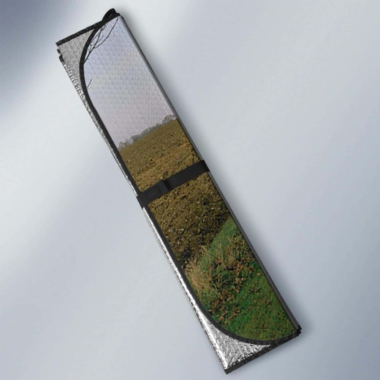 A Momentary Lapse of Reason Tour 1988 Auto Sun Shade