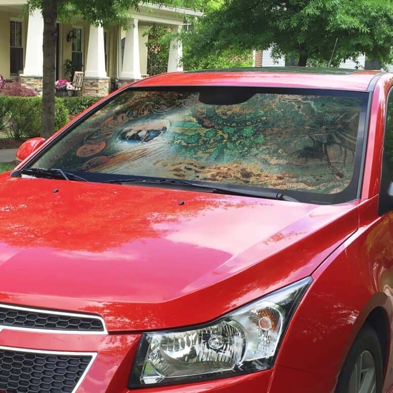 A Saucerful of Secrets Auto Sun Shade