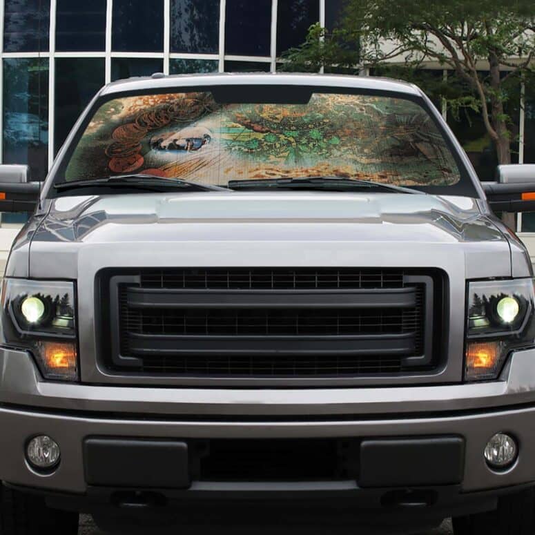 A Saucerful of Secrets Auto Sun Shade