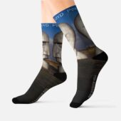 The Division Bell Morning Cathedral Pink Floyd 1994 Socksssss - OtherBrick