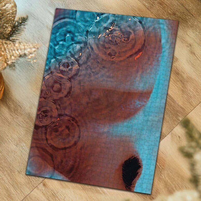 Meddle Album Cover 1971 Puzzle