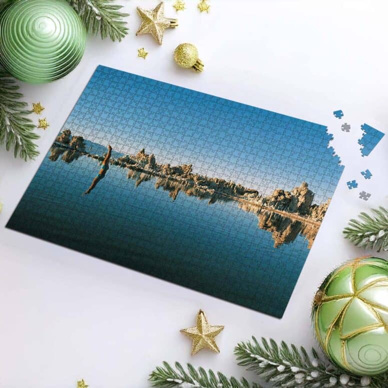 Mono Lake Wish You Were Here Diver Album Inner Sleeve Puzzle Mono Lake Wish You Were Here Diver Album Inner Sleeve Puzzle