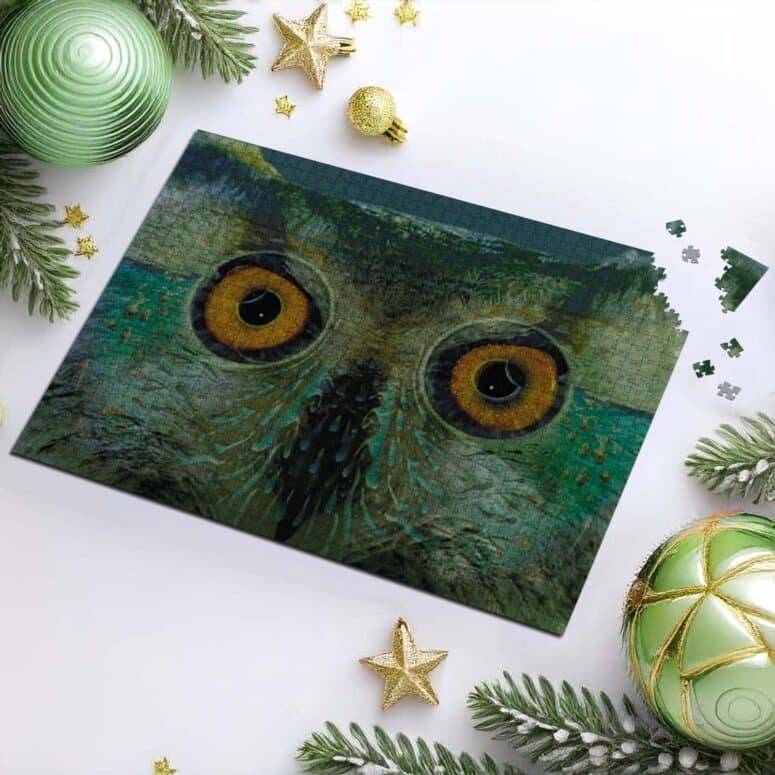 Owl Eyes Pulse Art Puzzle