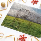 Puzzle3 Atom Heart Mother 40th Anniversary Why A Cow - OtherBrick