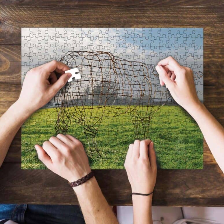 Atom Heart Mother 40th Anniversary Why A Cow Puzzle