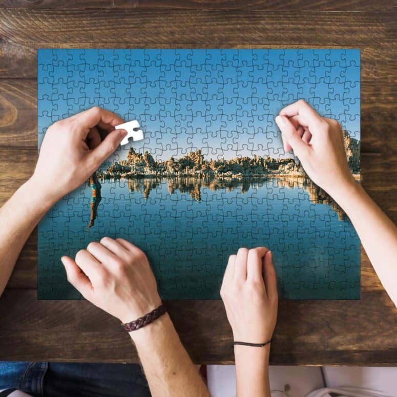 Mono Lake Wish You Were Here Diver Album Inner Sleeve Puzzle Mono Lake Wish You Were Here Diver Album Inner Sleeve Puzzle
