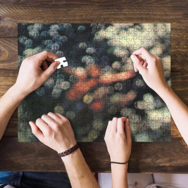 Obscured by Clouds Puzzle Obscured by Clouds Puzzle