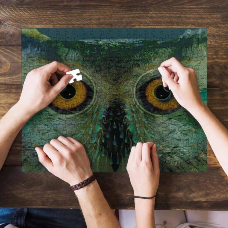 Owl Eyes Pulse Art Puzzle