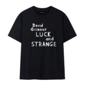 David Gilmour Luck And Strange Tour 2024front Tshirt Black - OtherBrick