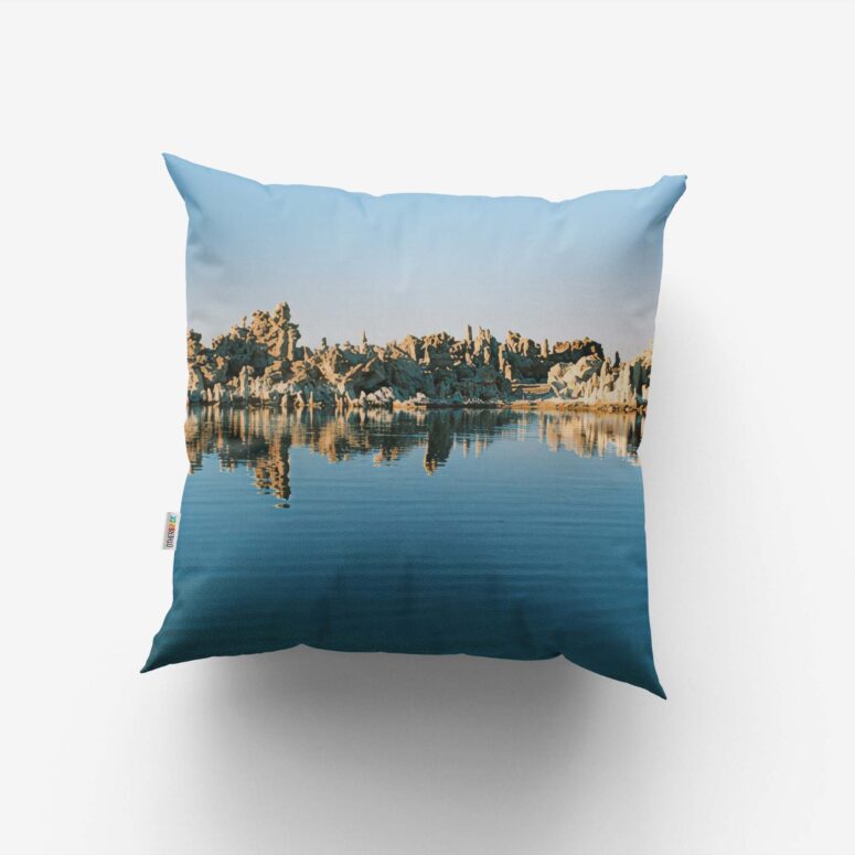 The Endless River x DSOTM Set 3 Cushion Pillow