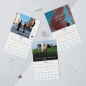 Pink Floyd Calendar 2025 Album Collection Torn Paper 1 - OtherBrick