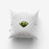 Pink Floyd Wywh X Shine On You Crazy Diamond X Time Round Set 3 Cushion Pillow Cover 4 - OtherBrick