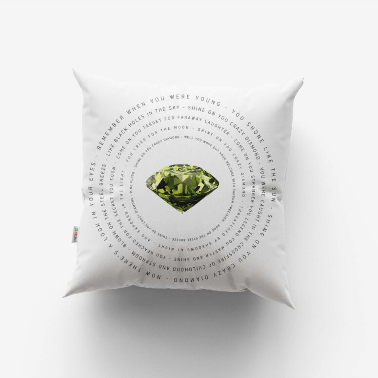 Pink Floyd WYWH x Shine On You Crazy Diamond x Time Round Set 3 Cushion Pillow