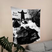 Tpt L2 David Gilmour Luck And Strange - OtherBrick