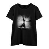 David Gilmour Show Madison Square Garden Nyc 2024 Front Wtee Black - OtherBrick