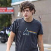 Pink Floyd Dsotm 1973 Tour Harry Style Shirt - OtherBrick