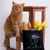 I Will See You On The Dsotm Black Cat Pink Floyd Totebag3 - OtherBrick