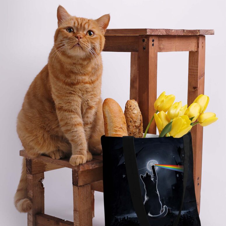 I Will See You On The DSOTM Black Cat Pink Floyd Tote Bag