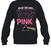 Pink Floyd Shirt Oh By The Way Which One's Pink Dsotm Long - OtherBrick