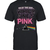 Pink Floyd Shirt Oh By The Way Which One's Pink Dsotm Tee - OtherBrick