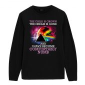 Pink Floyd Shirt - Comfortably Numb The Child Is Grown The Dream Is Gone