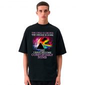 Pink Floyd Shirt - Comfortably Numb The Child Is Grown The Dream Is Gone
