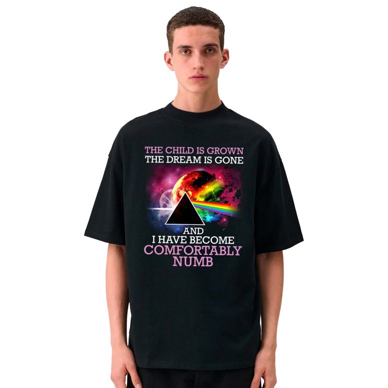 Pink Floyd Shirt - Comfortably Numb The Child Is Grown The Dream Is Gone