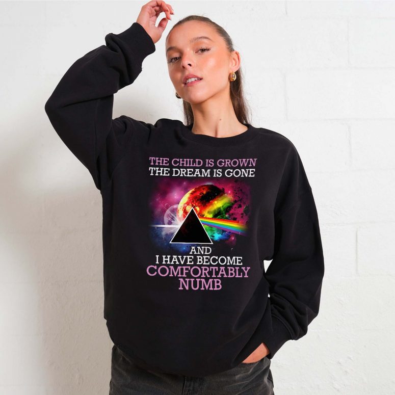 Pink Floyd Shirt - Comfortably Numb The Child Is Grown The Dream Is Gone
