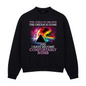 Pink Floyd Shirt - Comfortably Numb The Child Is Grown The Dream Is Gone