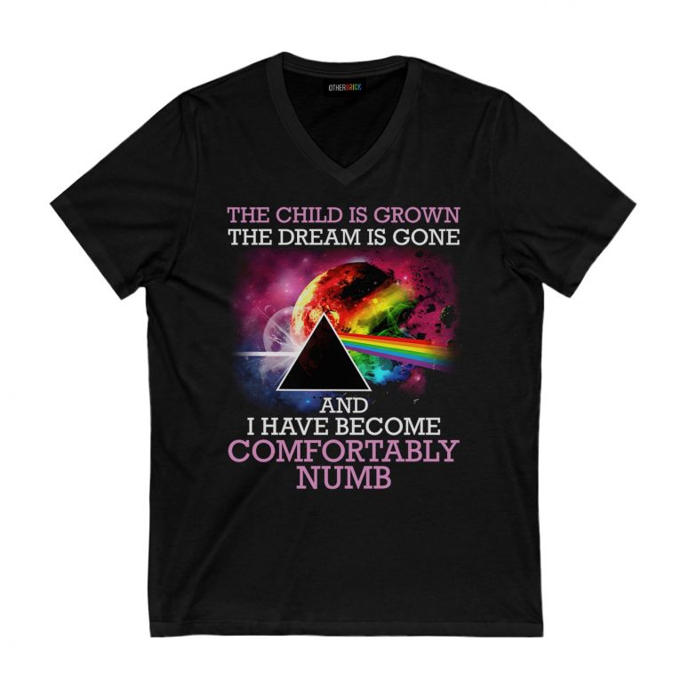 Pink Floyd Shirt - Comfortably Numb The Child Is Grown The Dream Is Gone