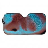 Pink Floyd Auto Sun Shade - Meddle Album Cover 1971