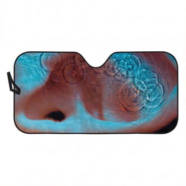Pink Floyd Auto Sun Shade - Meddle Album Cover 1971 Pink Floyd Auto Sun Shade - Meddle Album Cover 1971