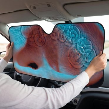 Pink Floyd Auto Sun Shade - Meddle Album Cover 1971
