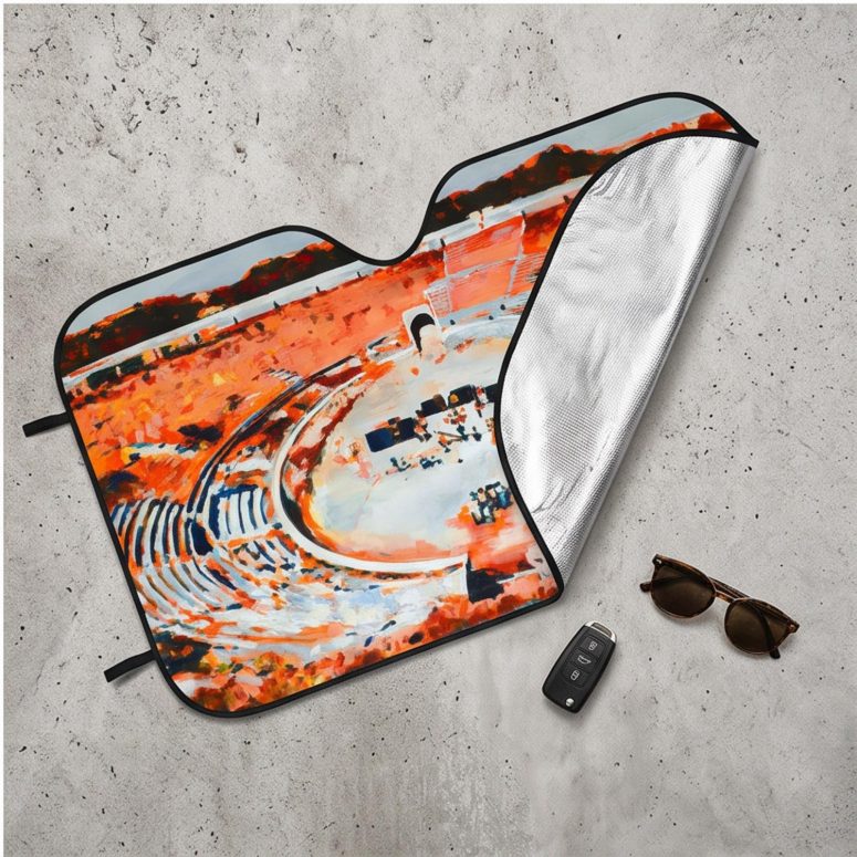 Pink Floyd Auto Sun Shade - This is where the magic happens Pink Floyd in Pompeii Painting