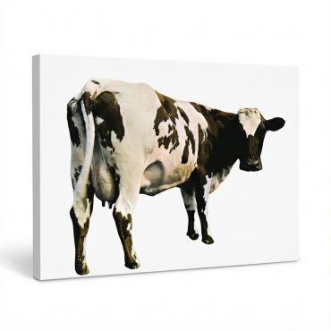 Pink Floyd Canvas - Atom Heart Mother Pink Floyd Canvas - Atom Heart Mother