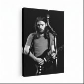 Pink Floyd Canvas - David Gilmour Live In Concert 1974