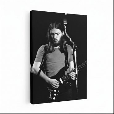 Pink Floyd Canvas - David Gilmour Live In Concert 1974 Pink Floyd Canvas - David Gilmour Live In Concert 1974