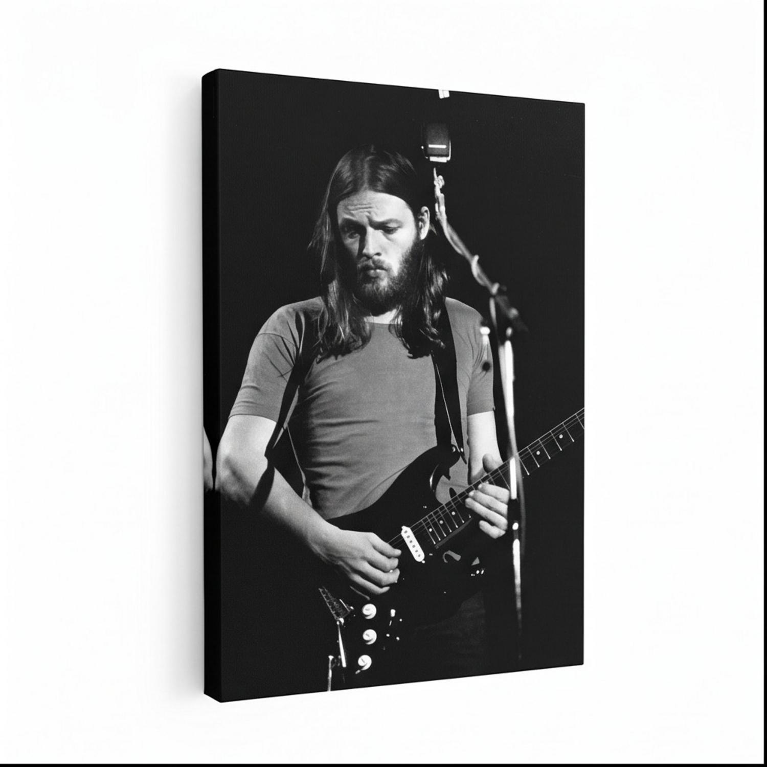 Pink Floyd Canvas - David Gilmour Live In Concert 1974 Pink Floyd Canvas - David Gilmour Live In Concert 1974